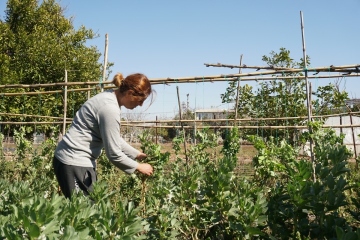 Planète (Europe) - Séisme en Turquie: la permaculture, une voie pour reconstruire