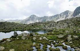 Planète - Cinq exemples de milieux naturels restaurés en Europe