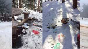 Chréa (Blida) -  L'incivisme a transformé la station climatique en dépotoir à ciel ouvert