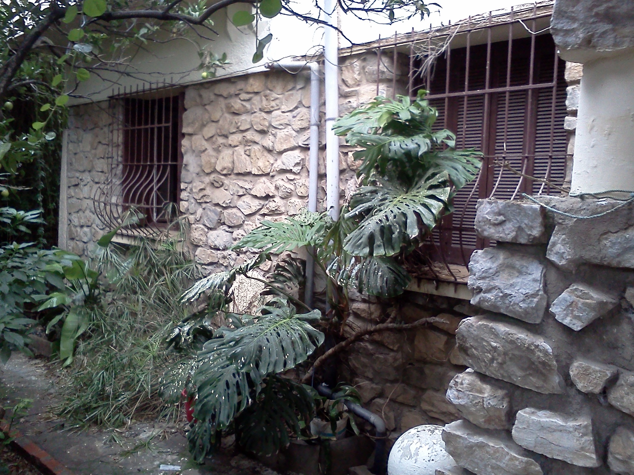 Poirson Rez de Chaussé à Vendre