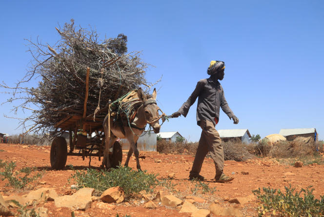 Planète (Somalie/Afrique) - «Le changement climatique signe progressivement la fin du mode de vie de certains Somaliens»