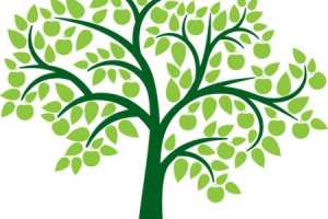 أسامي العوائل في الجزائر ليست مقرونة بأسماء قبائلها