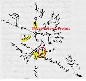 بقايا كتامة في الجزائر