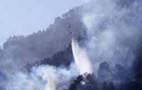 Planète (Europe) - Espagne: Les flammes du premier feu de forêt majeur de l’année ravivées par un vent fort