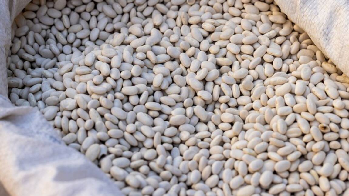 Planète - Pourquoi l'Onu recommande-t-elle de 