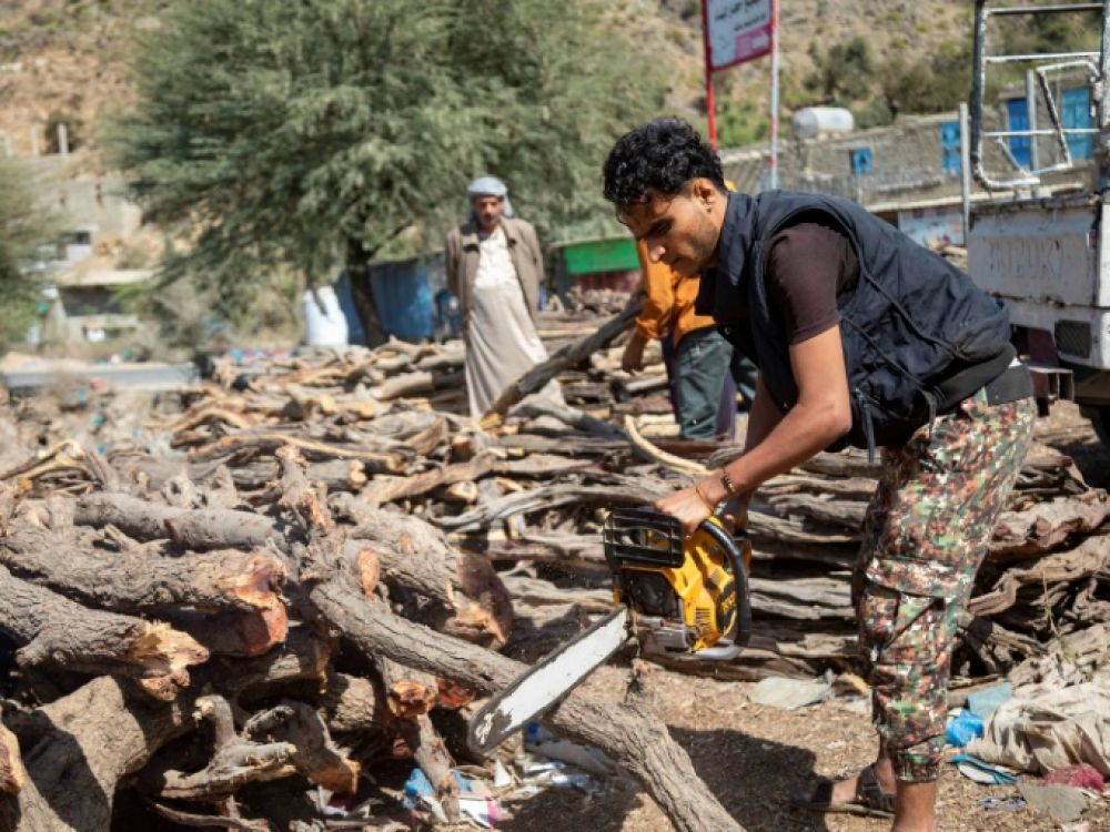 Planète (Asie) - Au Yémen en guerre, les arbres sacrifiés face à la flambée de l'énergie