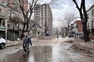 Planète (Canada/Amérique du Nord) - Météo extrême au Québec: électricité coupée et arbres ravagés