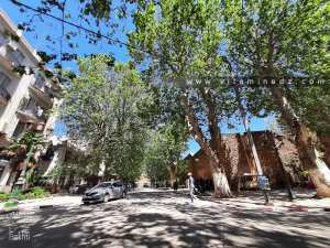 Tlemcen: Une commission pour recenser les biens culturels