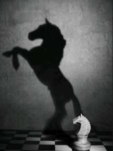 L’ombre et la connaissance de soi .