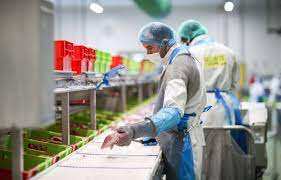 Planète (France/Europe) - Bretagne: Très gourmande, l’industrie agroalimentaire compte sur ses eaux usées pour réduire sa consommation