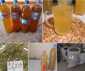 الوزوازة  مشروب الأربعين عشبة التقليدي لمكافحة العطش♥🇩🇿