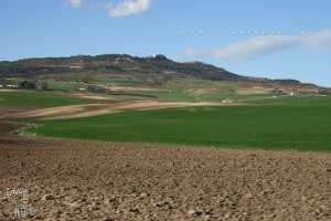 ÉPOPÉE DU MONT DE TESSALA