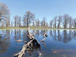 Algérie - Reportage/Forêt de l’Akfadou: Les lacs de montagne victimes de leur succès