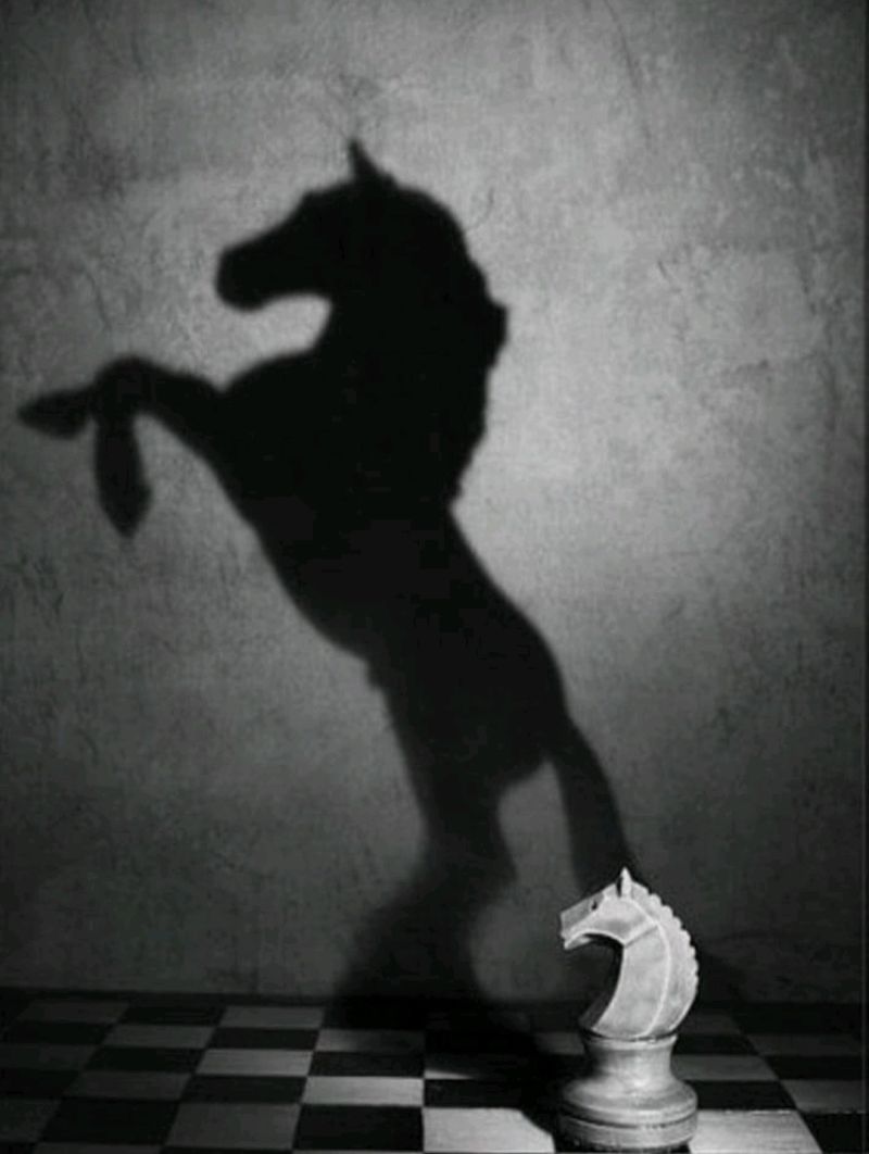 L’ombre et la connaissance de soi .