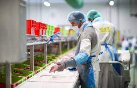 Planète (France/Europe) - Bretagne: Très gourmande, l’industrie agroalimentaire compte sur ses eaux usées pour réduire sa consommation