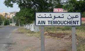 Algérie (Ain Témouchent) -  Un plan pour lutter contre les feux de forêt