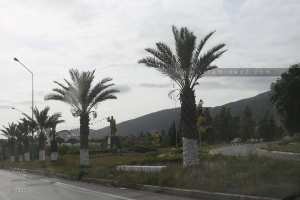 Toponymie de Tadmait (Tizi Ouzou)