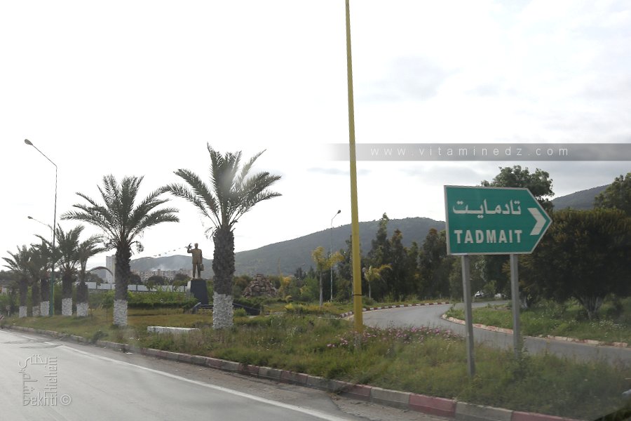 Histoire de Tadmait (Tizi Ouzou)