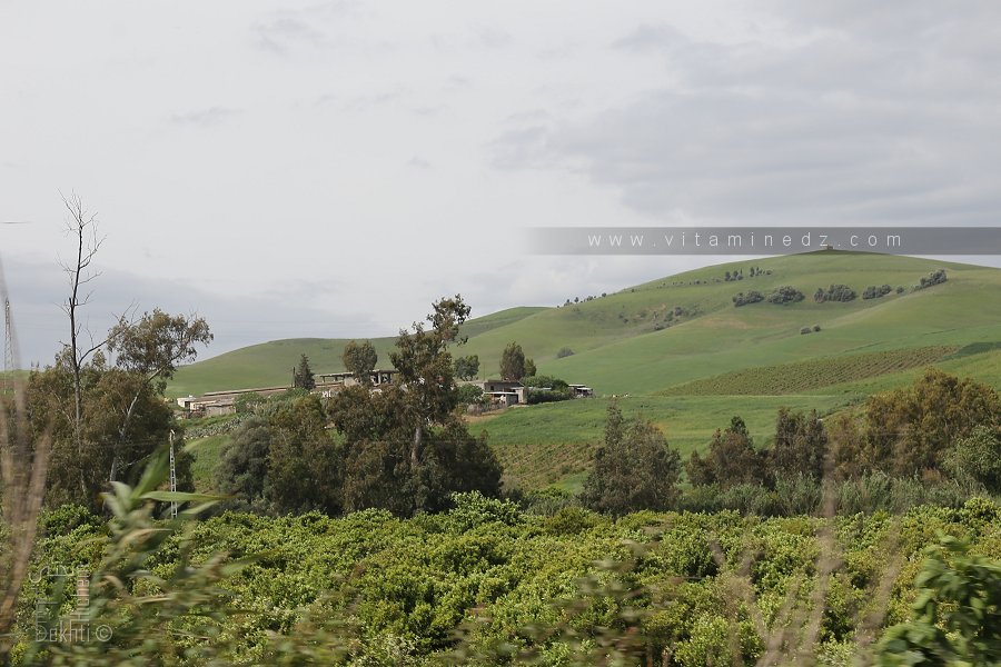 Analyse empirique de la wilaya de Tizi-Ouzou (1962 – 2008)