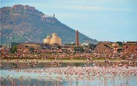 Gdyel (Oran) - Lac Télamine: Ouverture d'une enquête après la découverte de dizaines de flamants roses morts