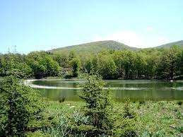 Algérie - Classement de la forêt d’Akfadou: Le projet d’étude enfin financé