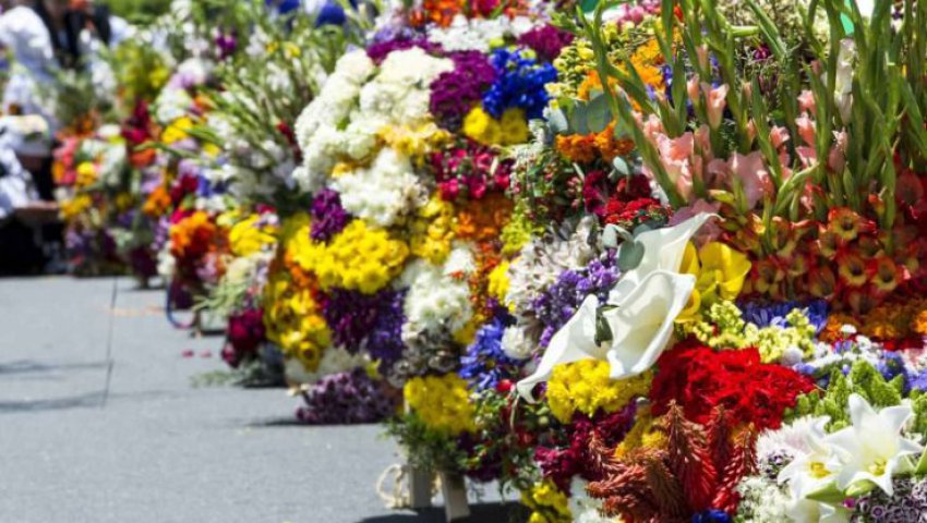 Blida -  La foire des fleurs retrempe la ville dans ses anciennes traditions