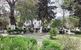 Algérie (Constantine) - Gestion et protection des espaces verts: Une contradiction entre les lois et la réalité