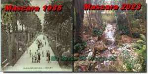 Mascara - Le jardin Pasteur, un joyau à l’abandon