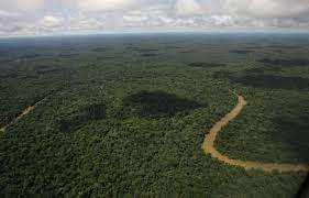 Planète (Amérique du Sud) - Equateur: Un référendum sur la poursuite de l’exploitation pétrolière d’une réserve naturelle