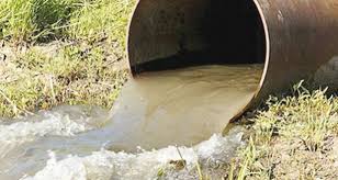 Algérie (Tlemcen) -  L'irrigation aux eaux usées à l'index