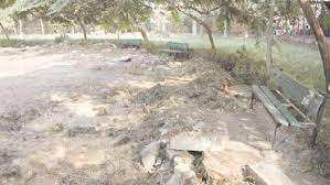 Algérie (Béchar)  -  Le jardin public abandonné