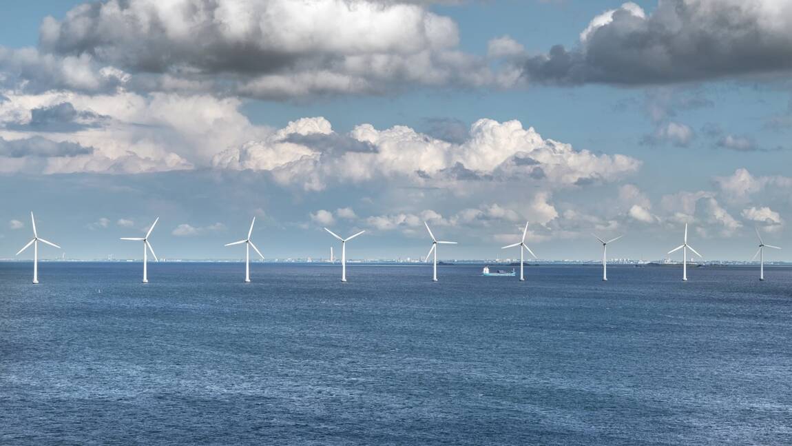 Planète (Europe) - Aux Pays-Bas, des éoliennes à l'arrêt pour laisser les oiseaux migrer en paix