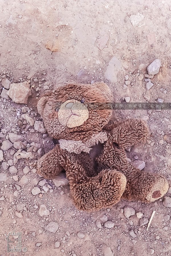 Petite peluche brune (Poème écrit par Chat GPT)