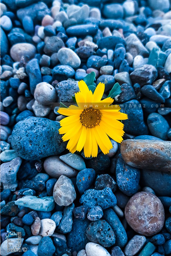 Ma force (Poème écrit par Chat GPT)