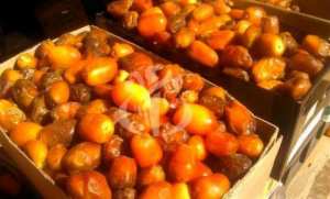 Dérivés de palmiers et de dattes: une activité ancestrale en passe de devenir filière économique