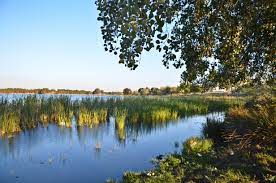 Ain  Tharid (Sidi Bel Abbès) -  20 milliards pour aménager le lac Sidi Mohamed Benali