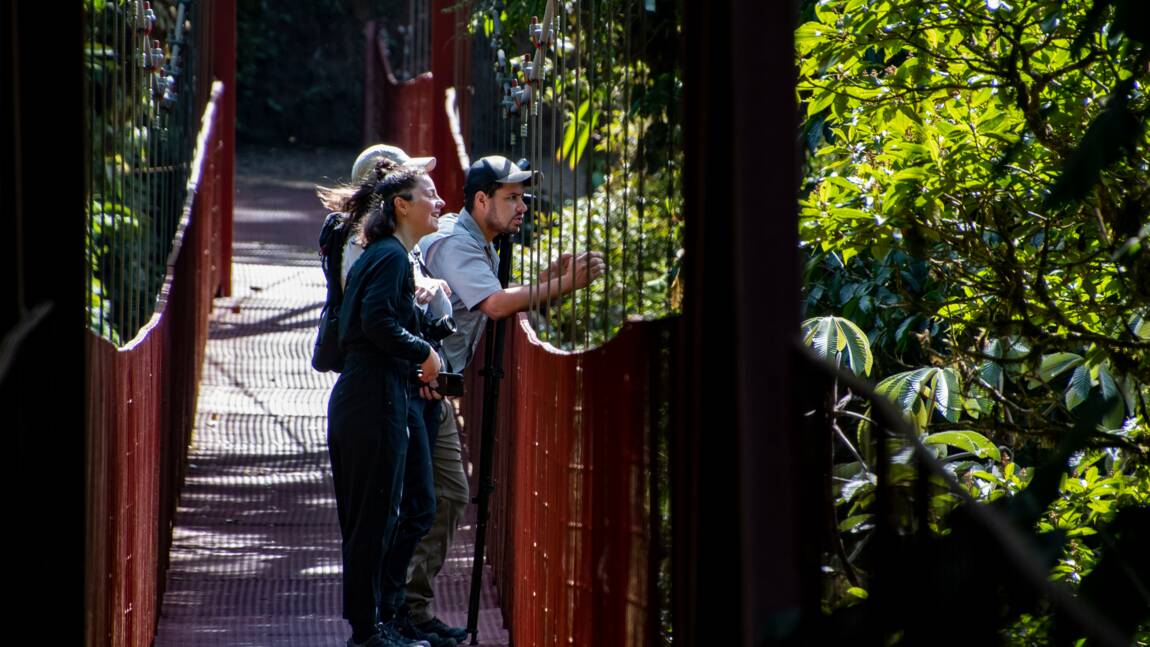 Planète (Amérique Centrale) - L'exceptionnelle 