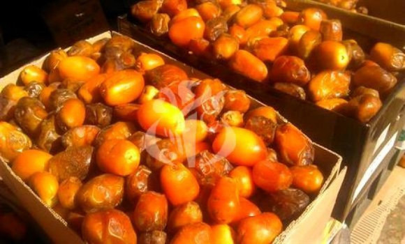 Dérivés de palmiers et de dattes: une activité ancestrale en passe de devenir filière économique