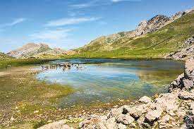 Algérie - Parc National du Djurdjura: Des mesures pour la préservation du milieu naturel