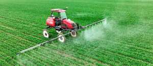 Planète (France/Europe) - Biodiversité et pesticides: des ONG veulent faire condamner l’État