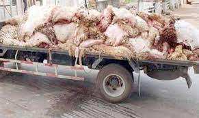 Algérie (Béjaïa) - Collecte des peaux des moutons: «Absence d’une vision économique»