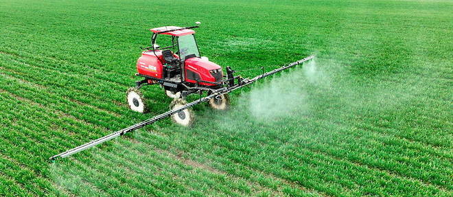 Planète (France/Europe) - Biodiversité et pesticides: des ONG veulent faire condamner l’État