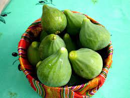 Ouled Kihel (Aïn Témouchent) - Les figues précoces 