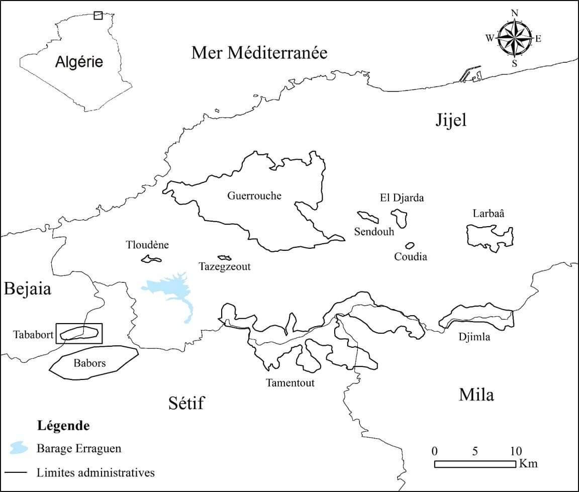 Découverte dans le Djebel Tababort (nord-est de l’Algérie) d’un nouveau site de reproduction de la Sittelle kabyle Sitta ledanti