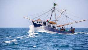 Pêche en haute mer : Tlemcen inaugure deux ateliers de fabrication de navires