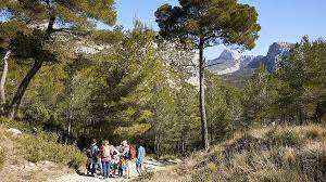 Algérie (Médéa) - Les véhicules et motocycles interdits d’accès aux zones forestières