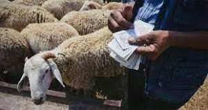 Algérie - Mohamed Boukarabila. Membre du bureau national de la Fédération nationale des éleveurs: «Durant tout le parcours de vie du mouton de l’Aïd, les éleveurs sont abandonnés»