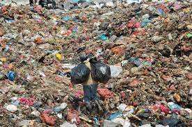 Algérie - Vallée de la Soummam: Récupération des déchets recyclables, une activité en vogue