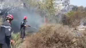 Ain El Berd (Sidi Bel Abbes) - Incendie de la forêt: Plus de 28 hectares partis en fumée