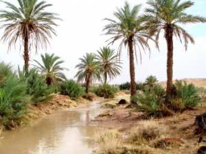 La légende de l’oued M’zi.